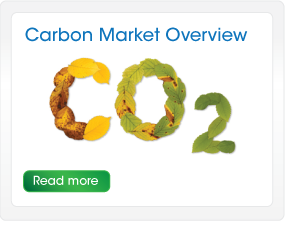 Carbon Market Overview